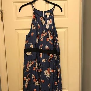 Gorgeous Floral loft dress brand new with tags 16